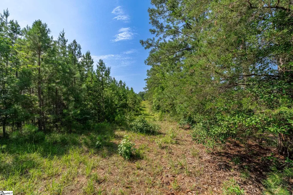 0 Blacks Mill Road Iva, SC 29655