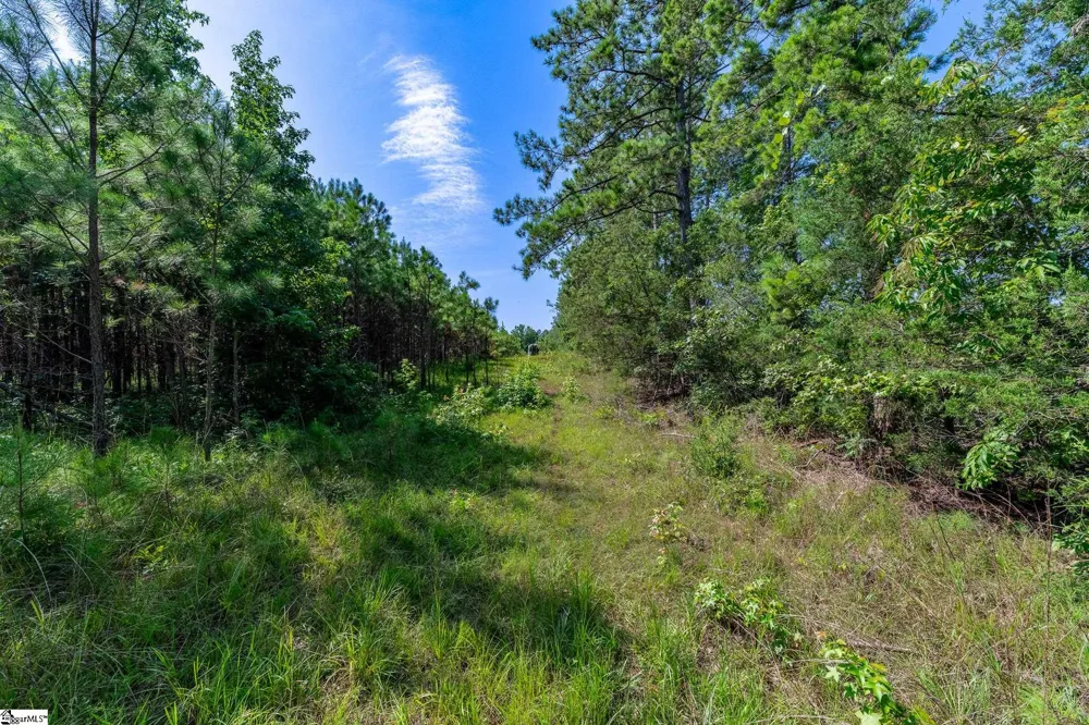 0 Blacks Mill Road Iva, SC 29655
