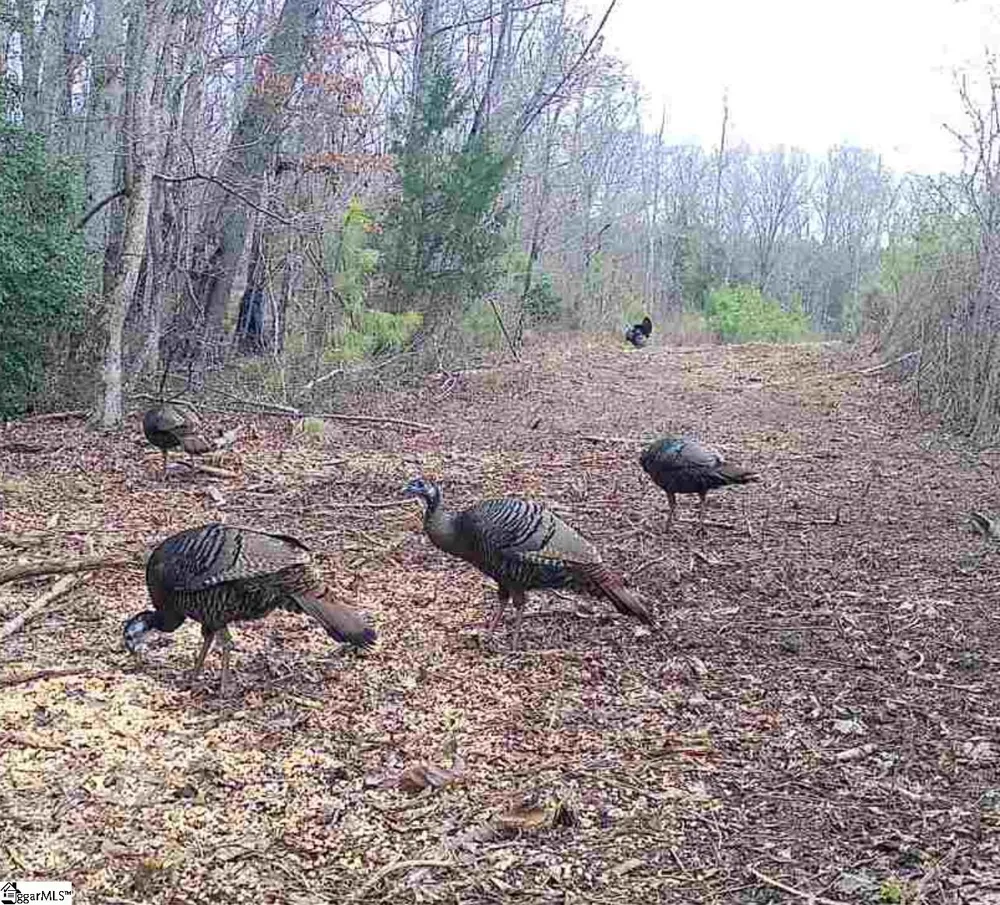 0 Blacks Mill Road Iva, SC 29655