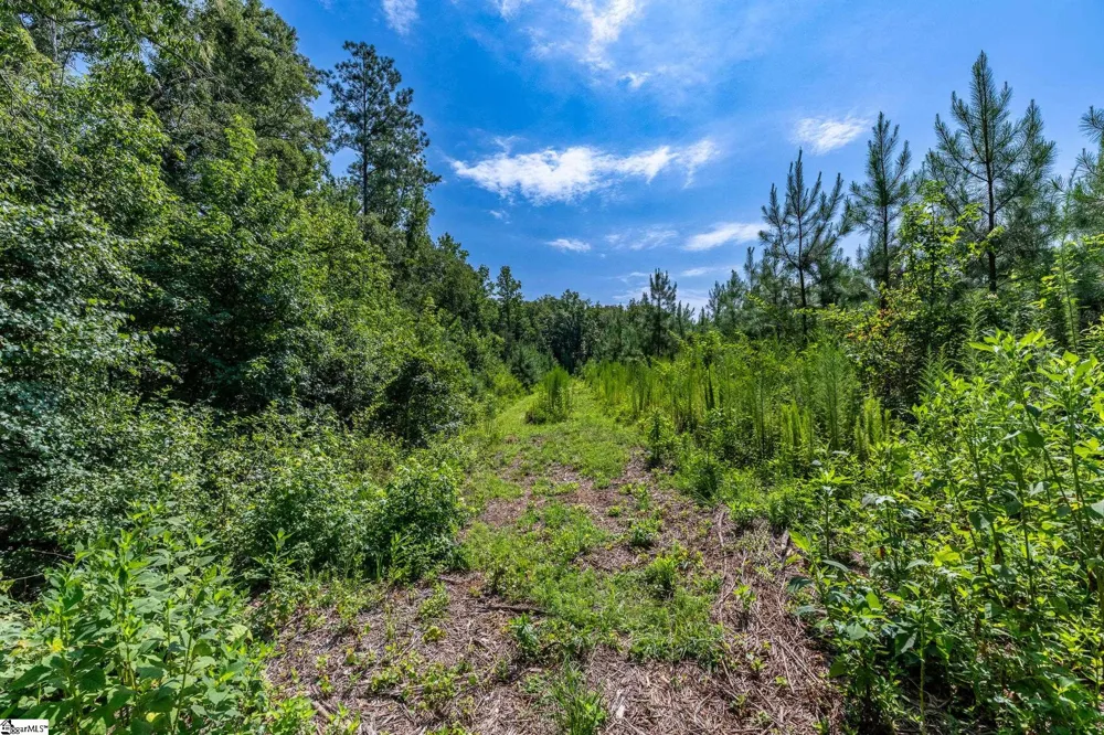 0 Blacks Mill Road Iva, SC 29655