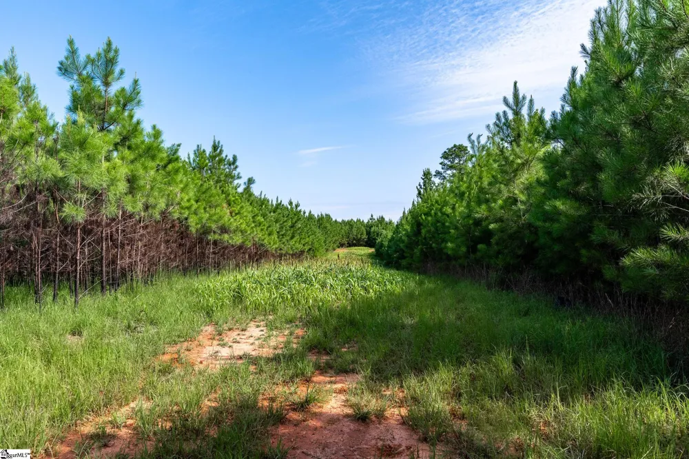 0 Blacks Mill Road Iva, SC 29655