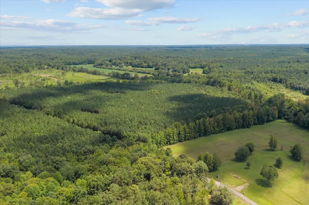 0 Eden Farm Rd Camden, TN 38320
