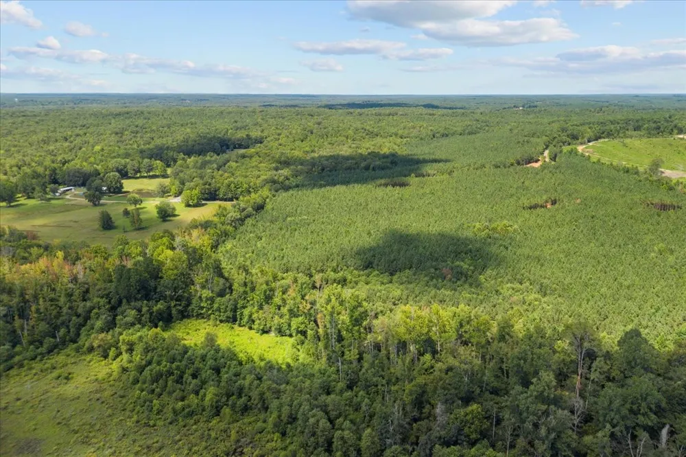 0 Eden Farm Rd Camden, TN 38320