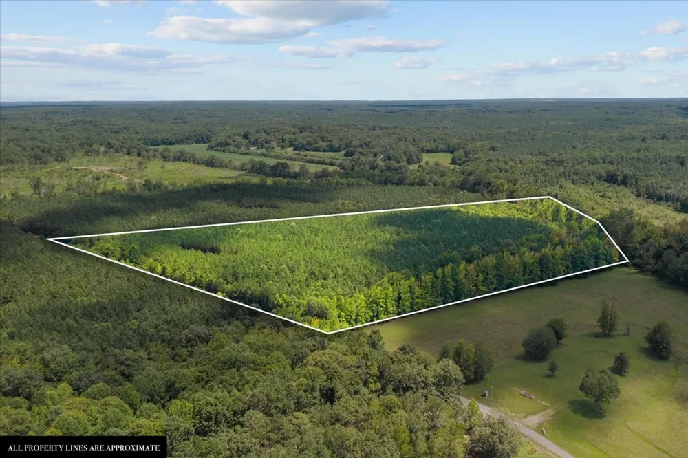 0 Eden Farm Rd Camden, TN 38320