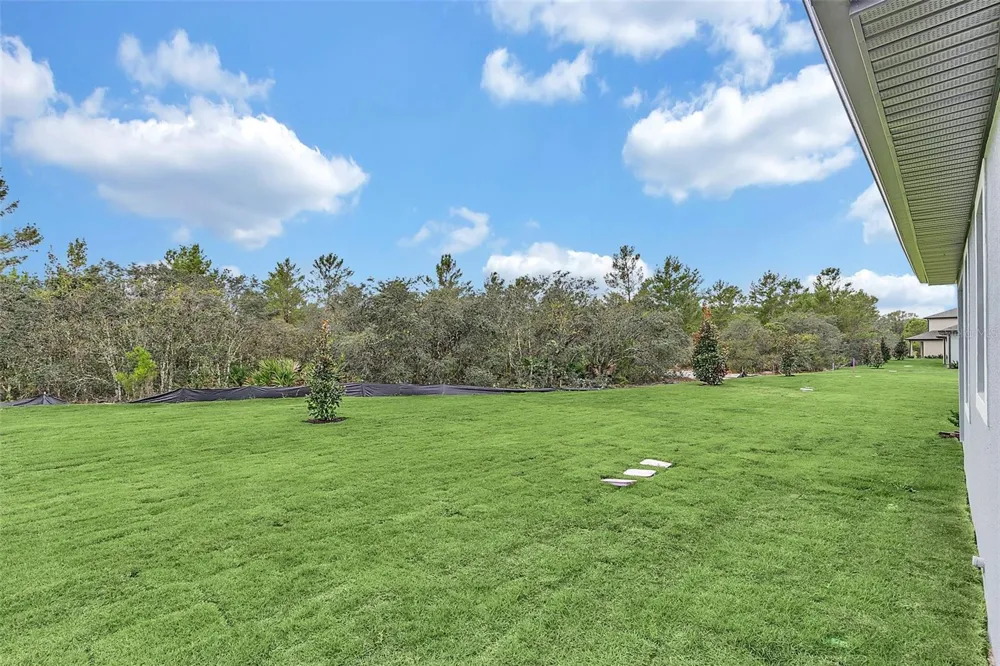 1390 REMICK COURT Kissimmee, FL 34747