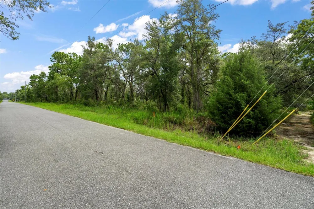 12250 MARVELWOOD ROAD Weeki Wachee, FL 34614