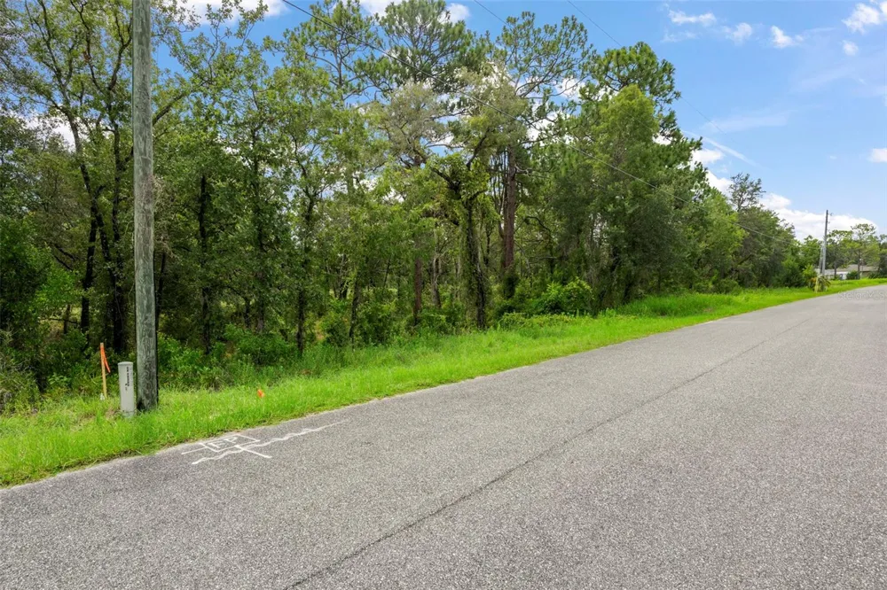 12250 MARVELWOOD ROAD Weeki Wachee, FL 34614