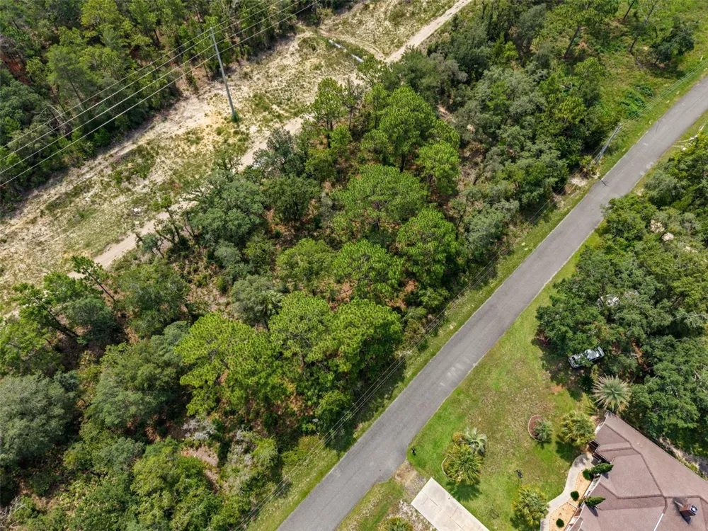12250 MARVELWOOD ROAD Weeki Wachee, FL 34614