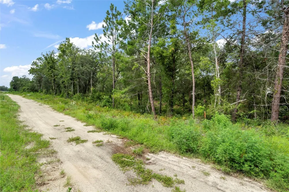 12250 MARVELWOOD ROAD Weeki Wachee, FL 34614