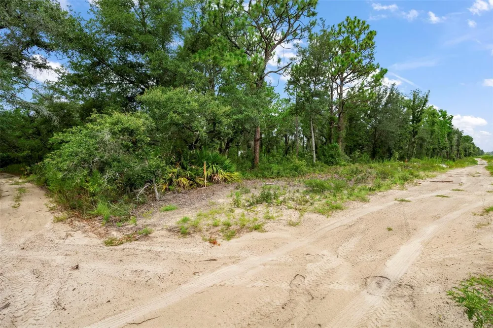 12250 MARVELWOOD ROAD Weeki Wachee, FL 34614