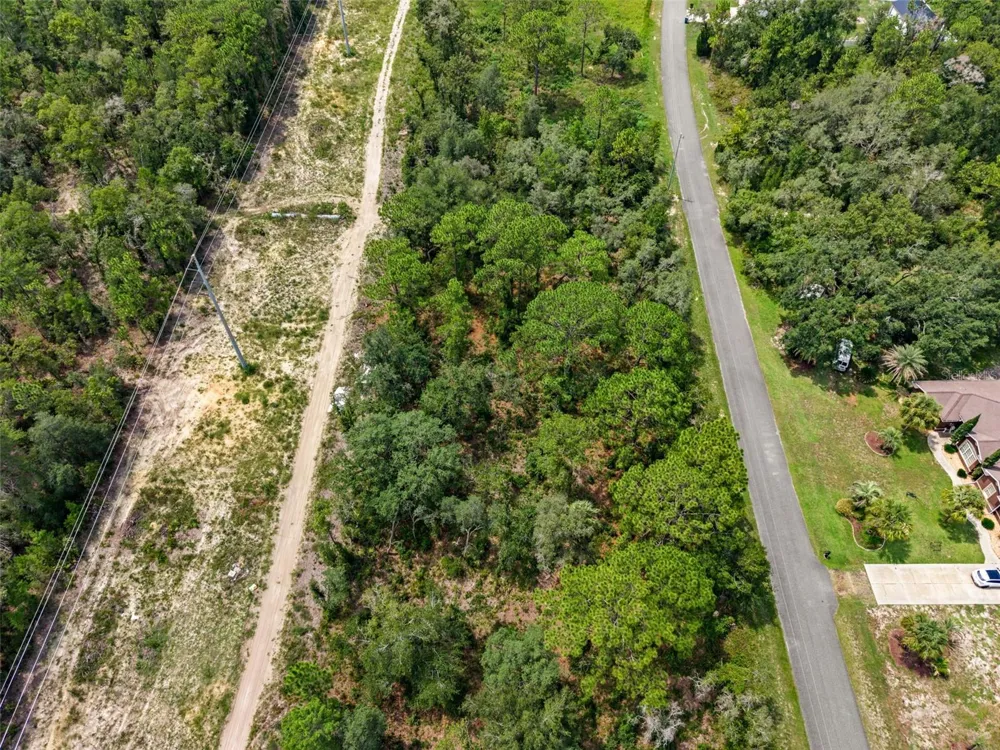 12250 MARVELWOOD ROAD Weeki Wachee, FL 34614
