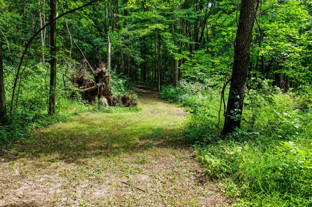 2451 Maute Road Grass Lake, MI 49240