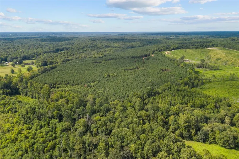 0 Eden Farm Rd Camden, TN 38320