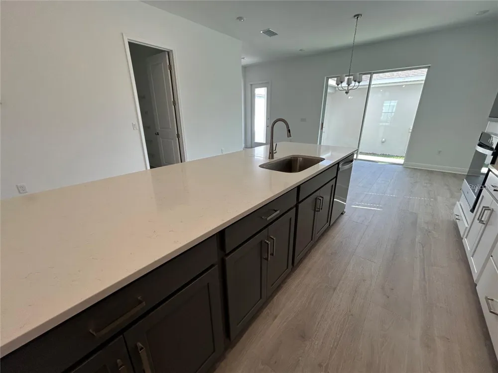 16902 HAMLIN OASIS LOOP Winter Garden, FL 34787