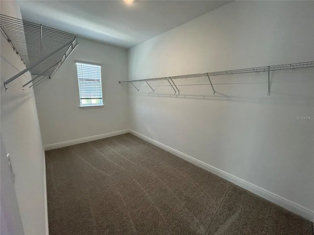 16902 HAMLIN OASIS LOOP Winter Garden, FL 34787
