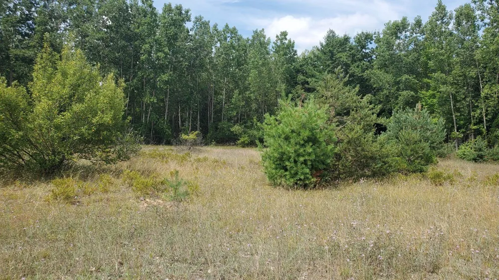8 Sandbar Lane Garfield Township, MI 48632