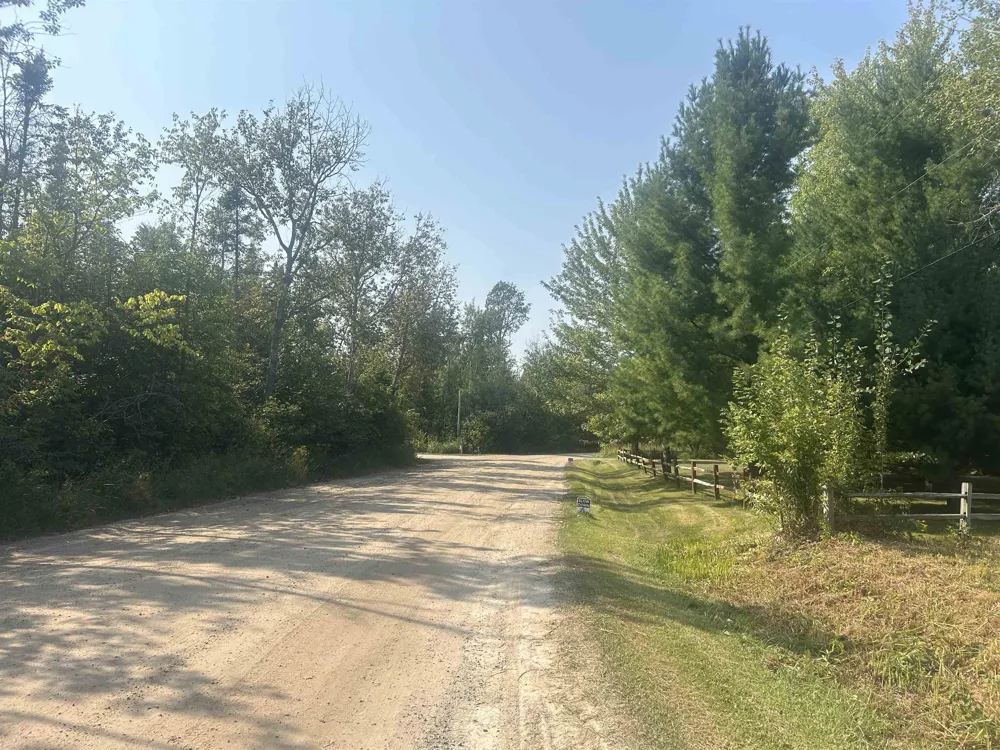 14222 Birch Pointe Drive Elk Rapids Township, MI 49648