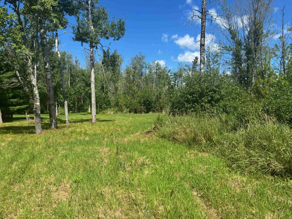 14222 Birch Pointe Drive Elk Rapids Township, MI 49648