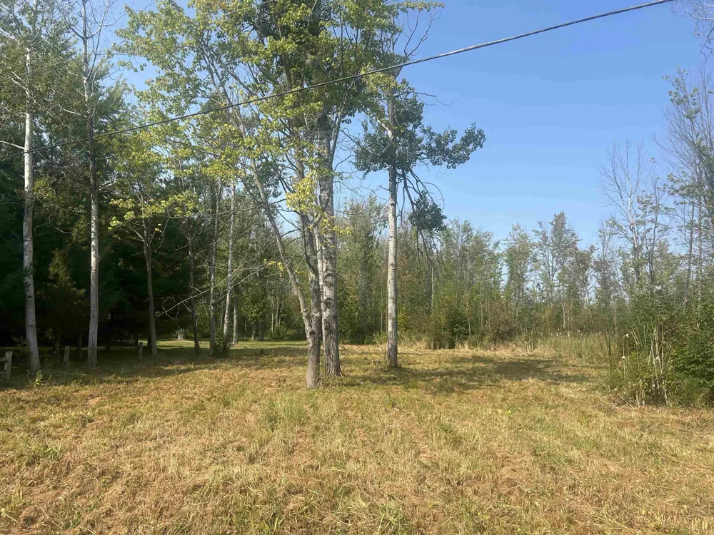 14222 Birch Pointe Drive Elk Rapids Township, MI 49648