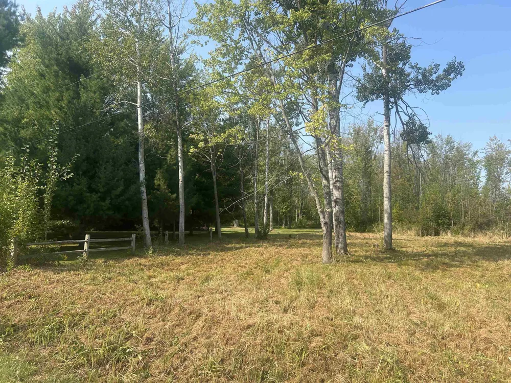 14222 Birch Pointe Drive Elk Rapids Township, MI 49648