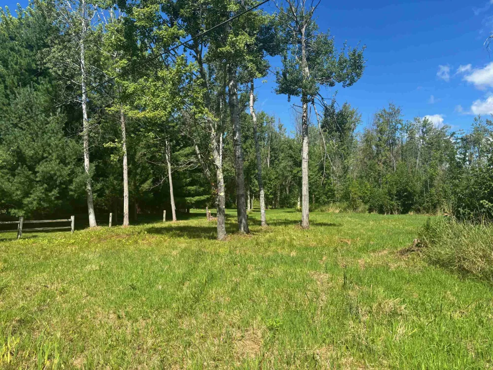 14222 Birch Pointe Drive Elk Rapids Township, MI 49648