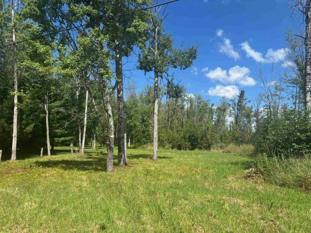 14222 Birch Pointe Drive Elk Rapids Township, MI 49648