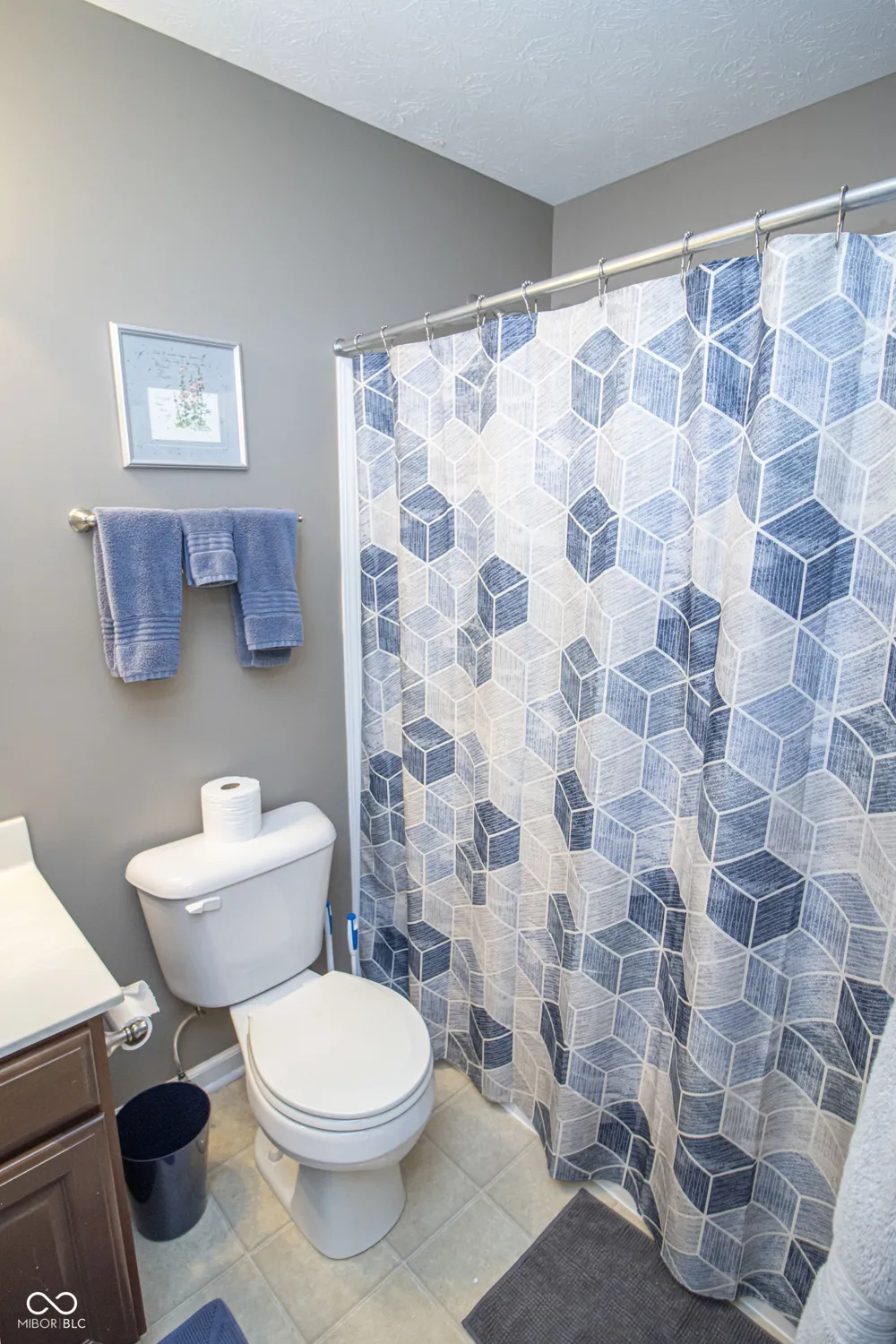 1037 Orlando Street Carmel, IN 46032