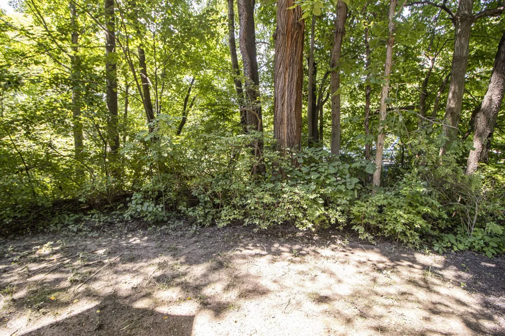1037 Orlando Street Carmel, IN 46032
