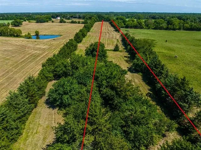 FARM ROAD 194 Blossom, TX 75416
