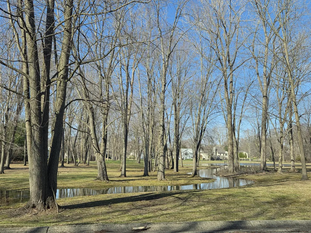 2205 Lake Wood Drive Summit Township, MI 49203