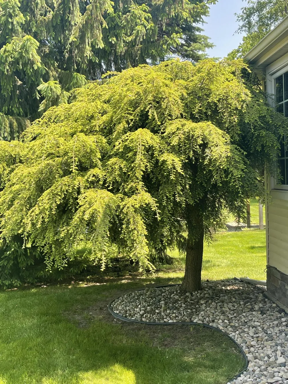2205 Lake Wood Drive Summit Township, MI 49203