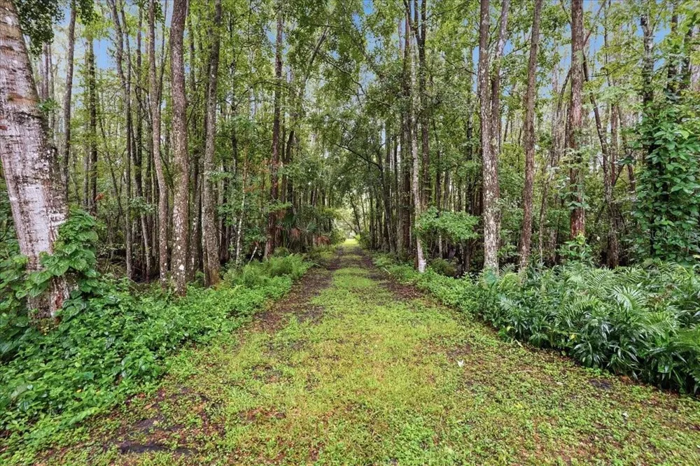 3500 OLD KEYSTONE ROAD Tarpon Springs, FL 34688