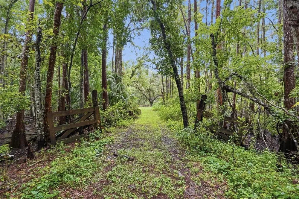 3500 OLD KEYSTONE ROAD Tarpon Springs, FL 34688