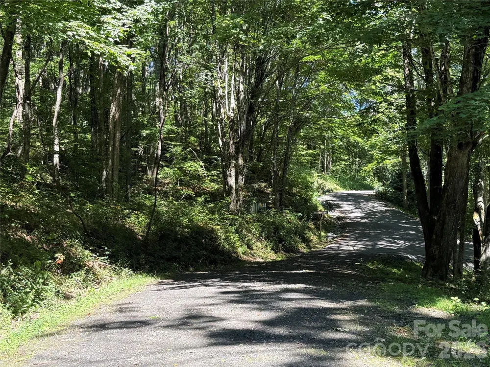 7 Wolfsbane Trail #7 Todd, NC 28684