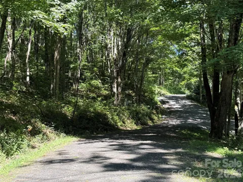 7 Wolfsbane Trail #7