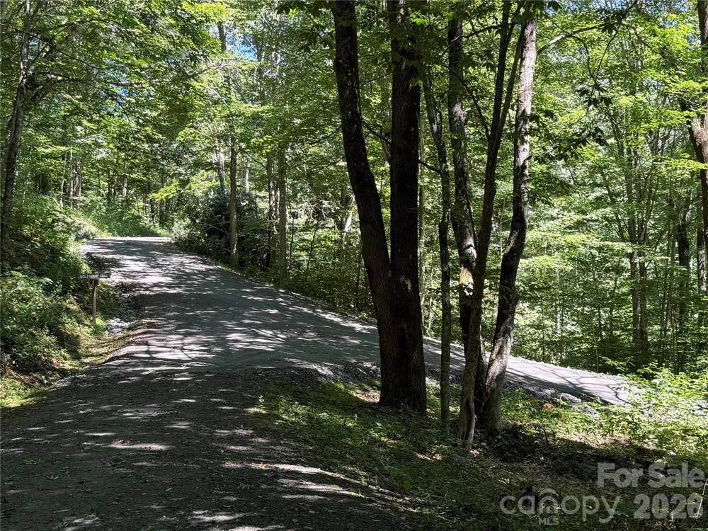 7 Wolfsbane Trail #7 Todd, NC 28684