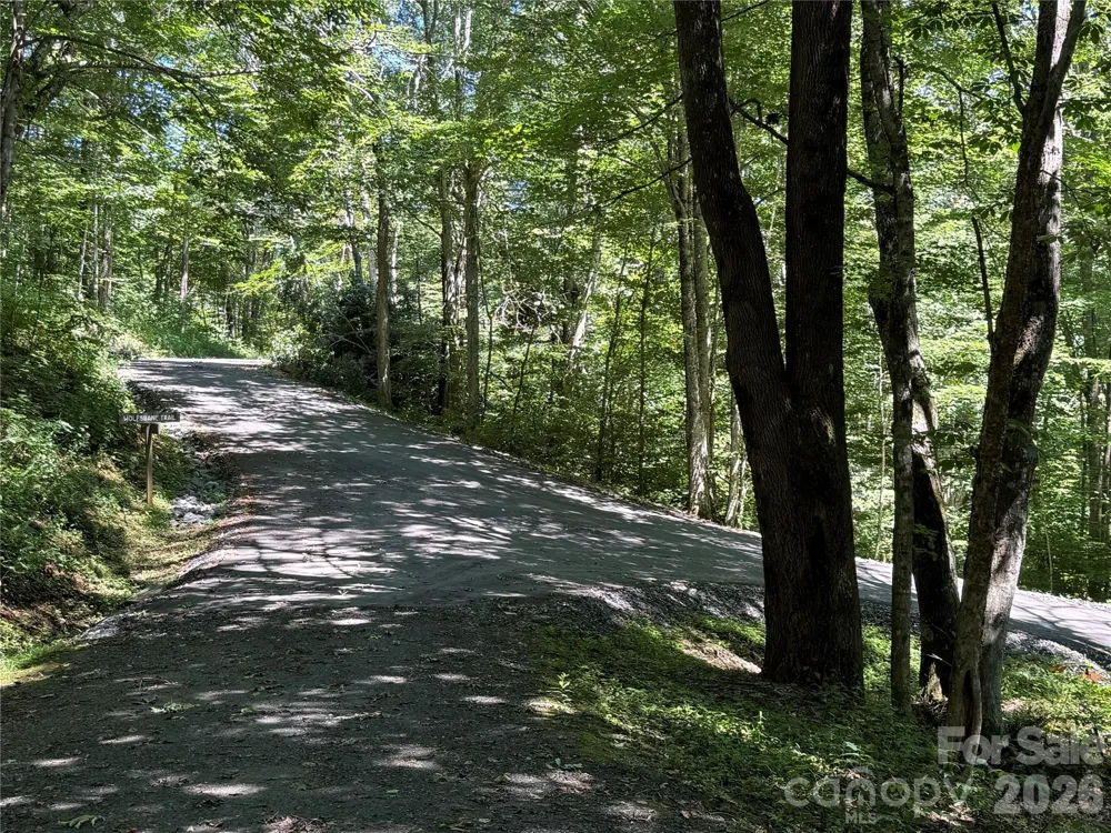 7 Wolfsbane Trail #7 Todd, NC 28684