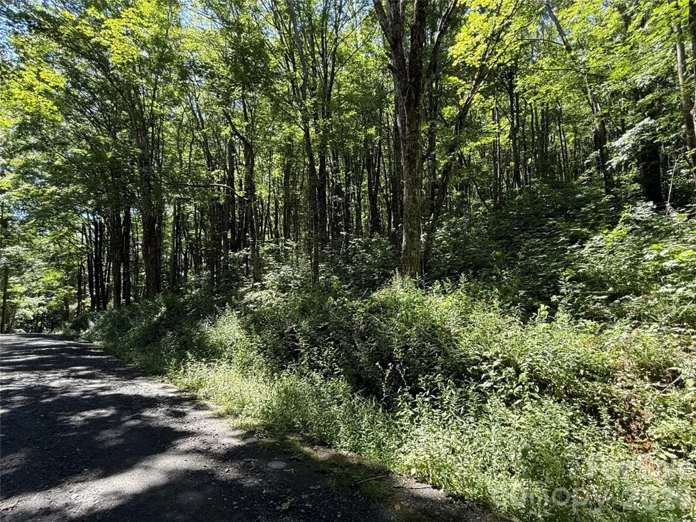 7 Wolfsbane Trail #7 Todd, NC 28684
