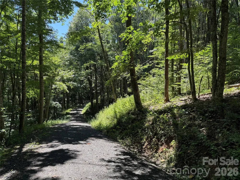 7 Wolfsbane Trail #7 Todd, NC 28684
