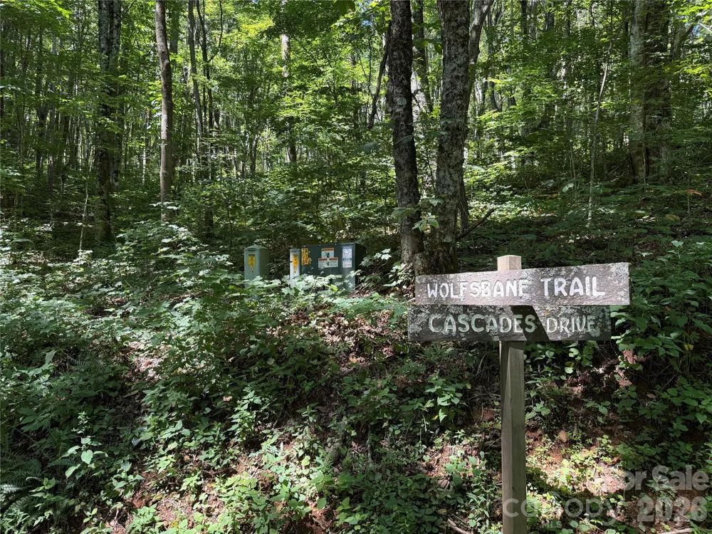 7 Wolfsbane Trail #7 Todd, NC 28684