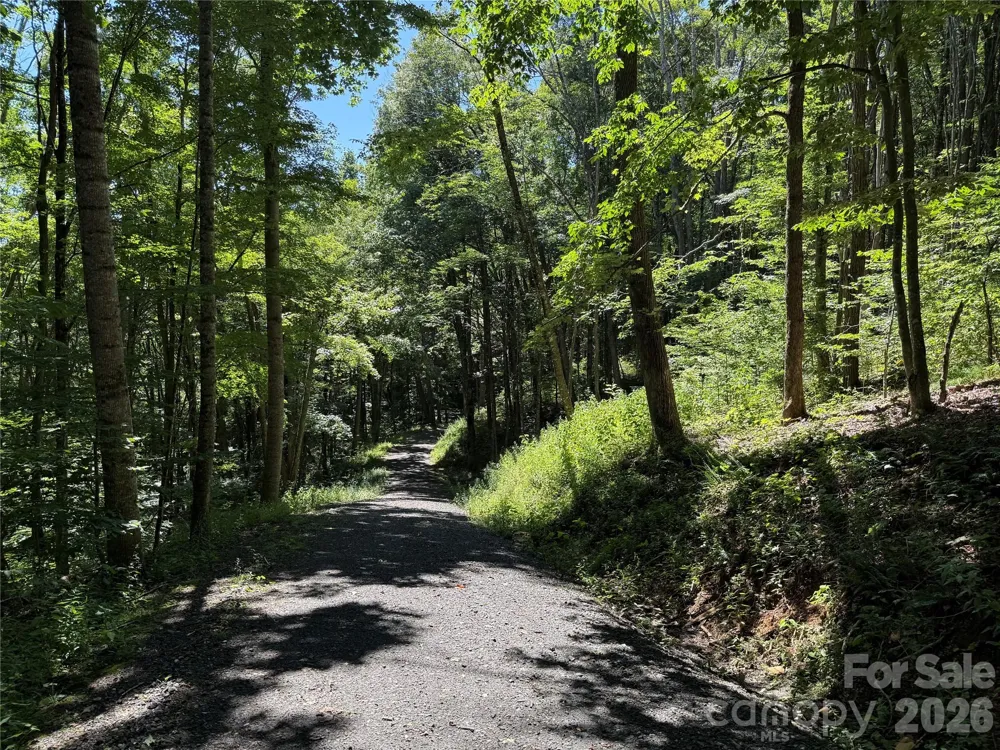 7 Wolfsbane Trail #7 Todd, NC 28684