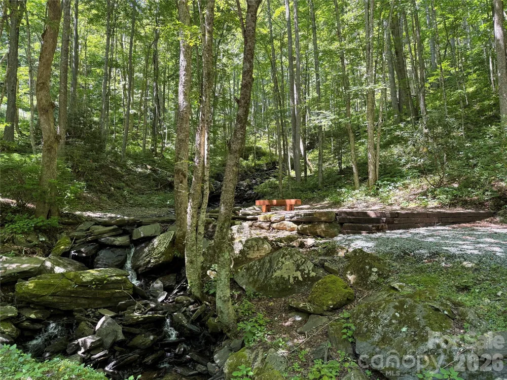 7 Wolfsbane Trail #7 Todd, NC 28684