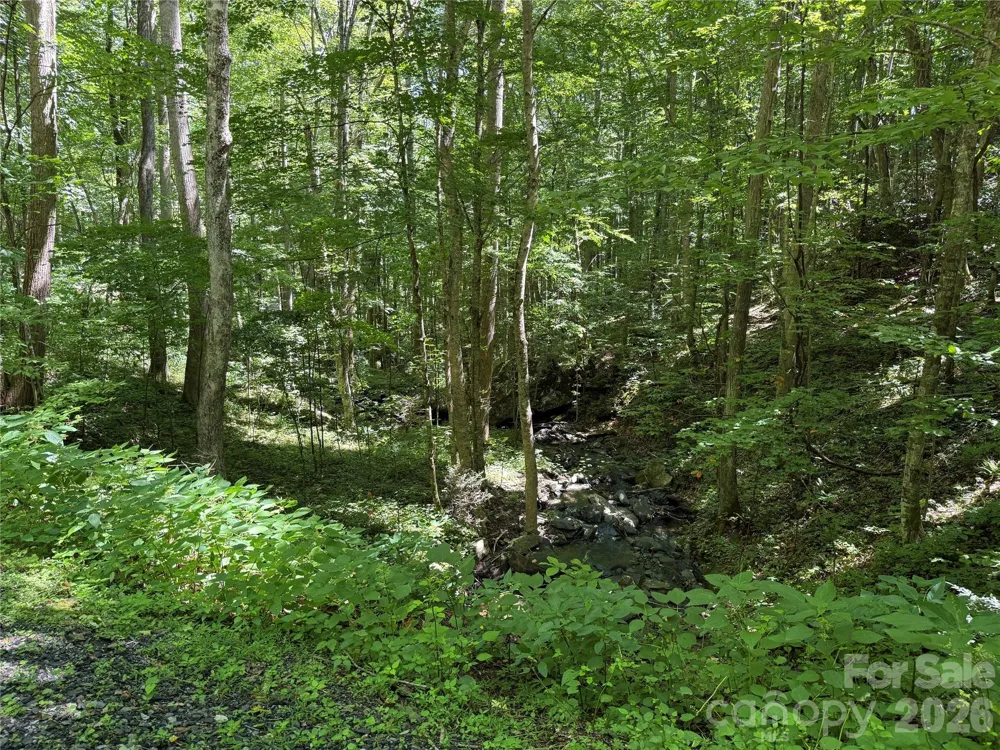 7 Wolfsbane Trail #7 Todd, NC 28684