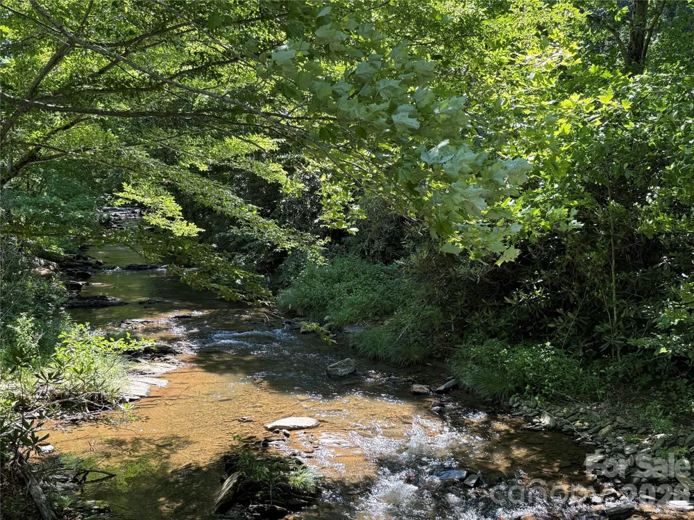 7 Wolfsbane Trail #7 Todd, NC 28684