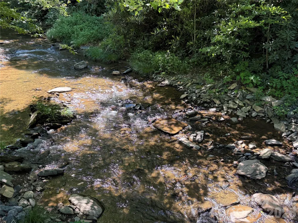 7 Wolfsbane Trail #7 Todd, NC 28684