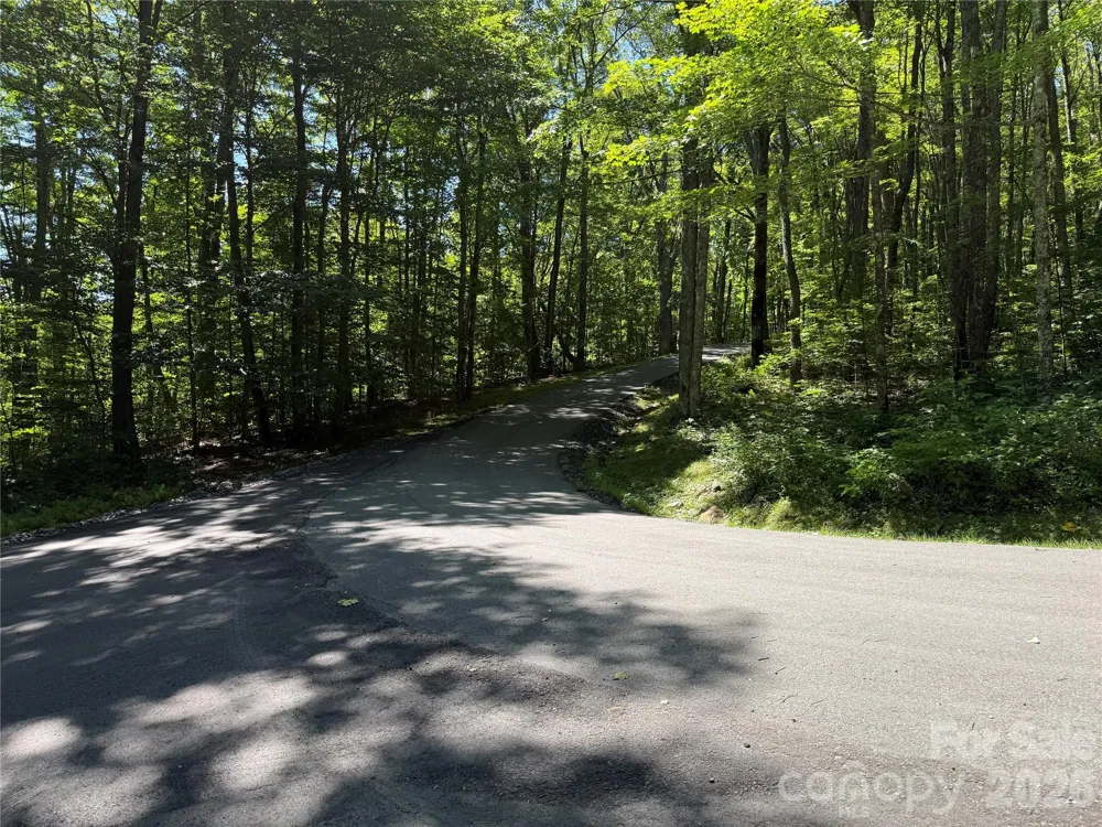 7 Wolfsbane Trail #7 Todd, NC 28684