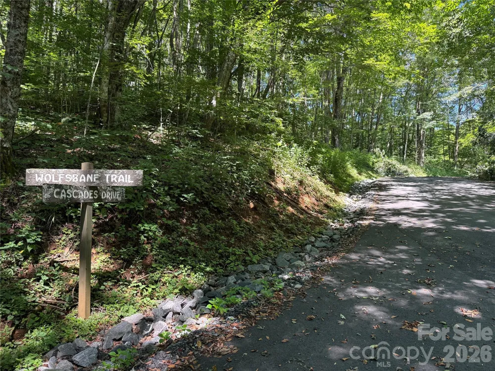 7 Wolfsbane Trail #7 Todd, NC 28684