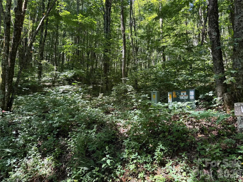 7 Wolfsbane Trail #7 Todd, NC 28684