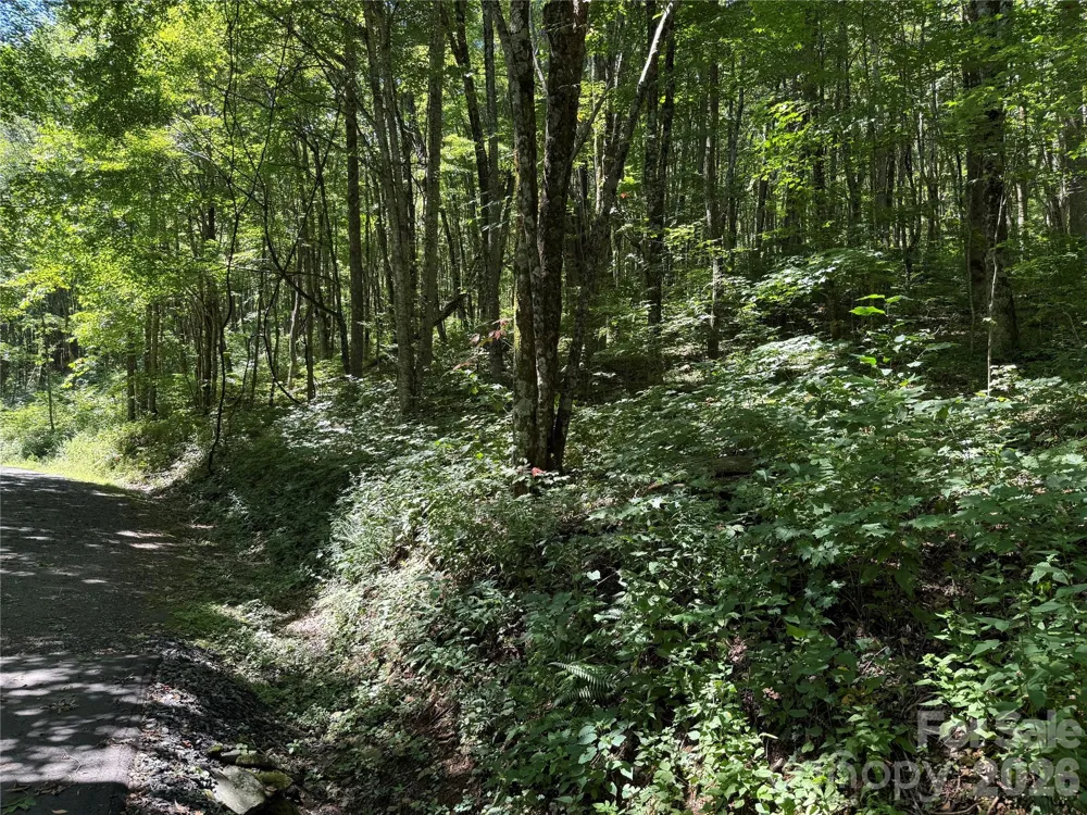 7 Wolfsbane Trail #7 Todd, NC 28684
