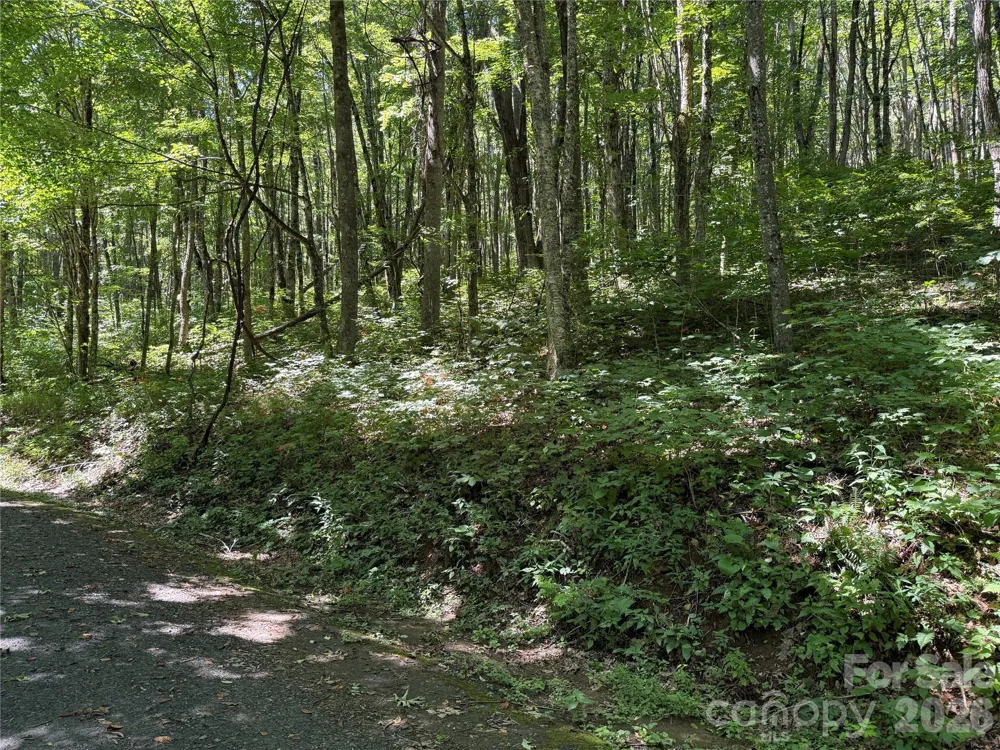 7 Wolfsbane Trail #7 Todd, NC 28684